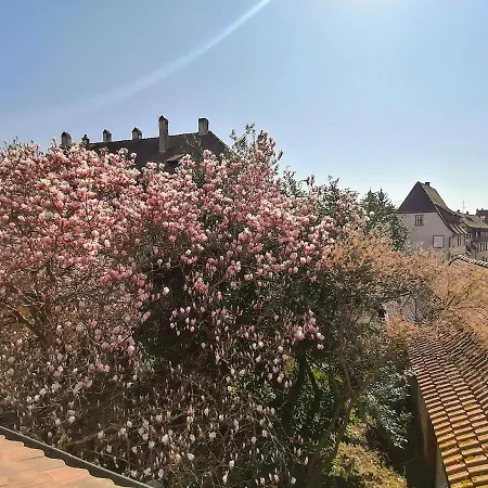 Maison Kobold Xvie Siecle Wissembourg Exterior foto