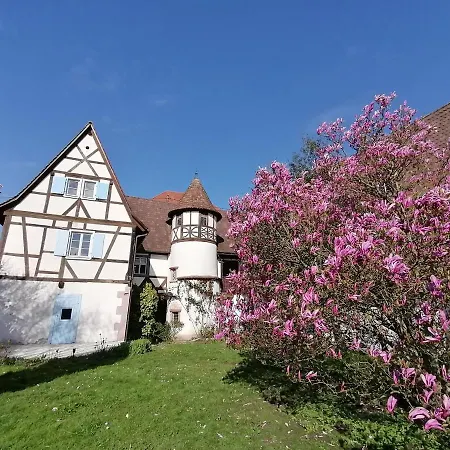Maison Kobold Xvie Siecle Wissembourg Exterior foto