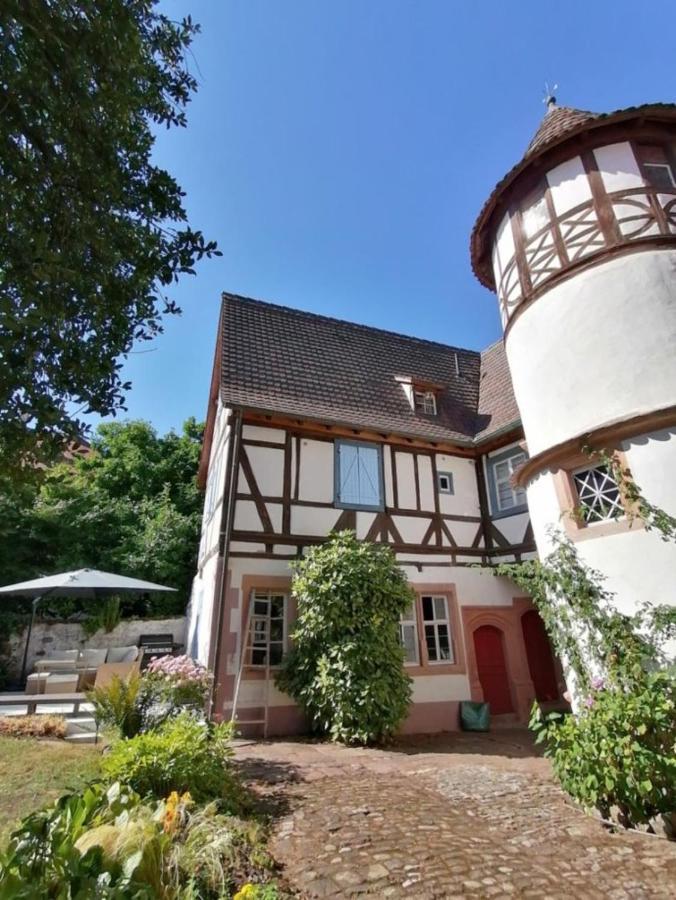 Maison Kobold Xvie Siecle * Wissembourg